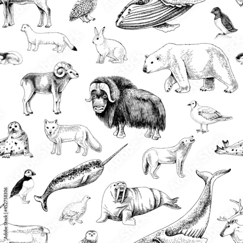 Monochrome Seamless pattern with Arctic animals