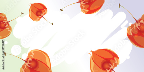 Physalis background with white splash paint and free space. Winter cherry vector background.