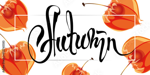Autumn letterind on Physalis background with free space. Winter cherry vector background. photo