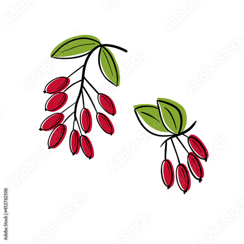 Vector seamless pattern with hand drawn barberry twigs.