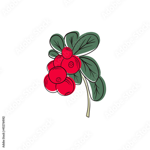 Red cowberries on stem with leaves flat vector icon.