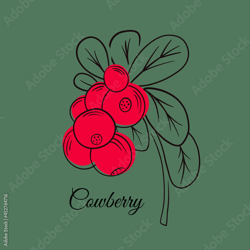Red cowberries on stem with leaves flat vector icon.