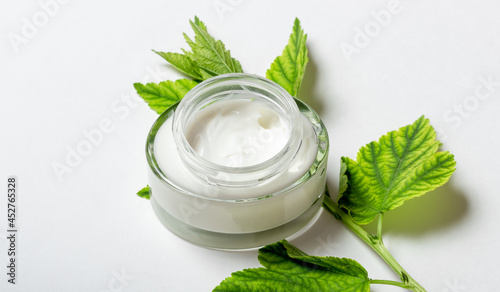 Women's cosmetics with natural ingredients. Means for face and body skin care. Eco-friendly tube of face cream on a white background with fresh herbs. Copy space, layout