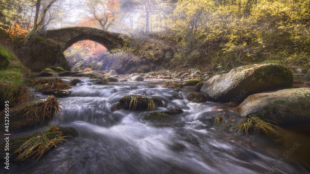 River with fast water flows between autumn trees River with fast water flows between autumn trees