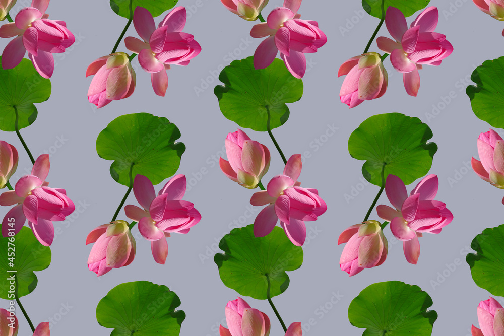 Seamless pattern with pink lotus flowers on a blue background.