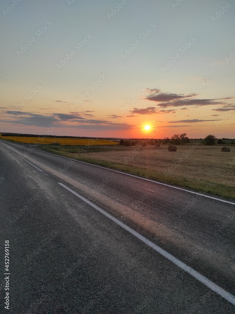 red sunset and a large field of yellow sunflowers red sunset and a large field of yellow sunflowers