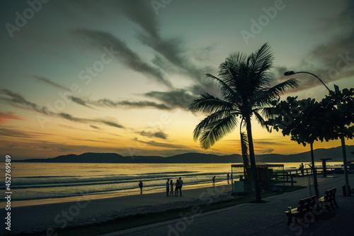 Nascer do sol na praia com silhueta de coqueiro em Itapema - Paisagem natural