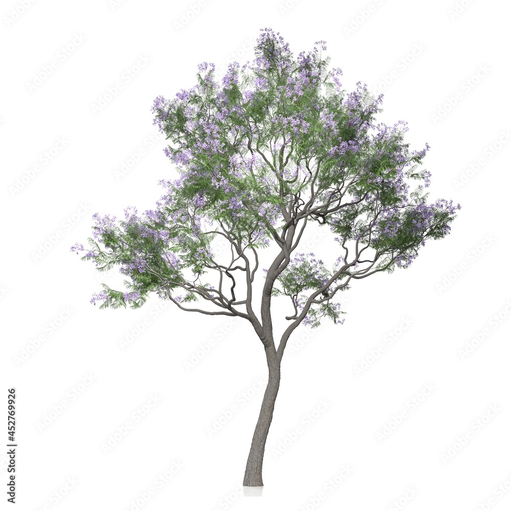 3d render of a tree on white background	