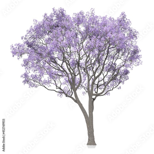 3d render of a tree on white background  © Andrus Ciprian