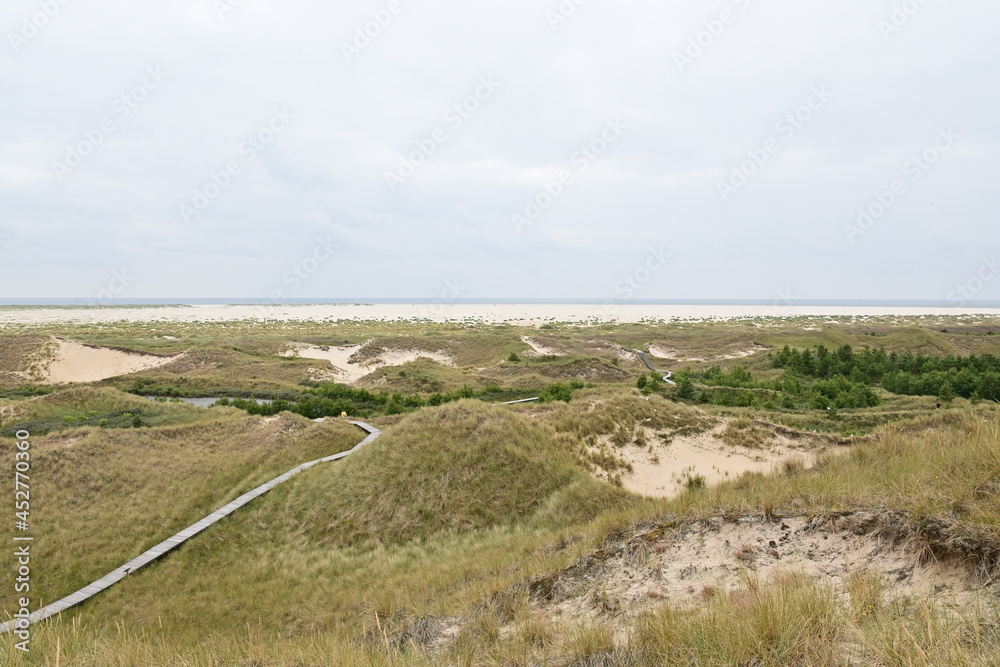 Panorama über die Dünen auf der Insel Amrum