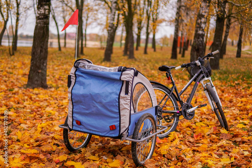 Bicycle with childrens bike trailer in the autumn.