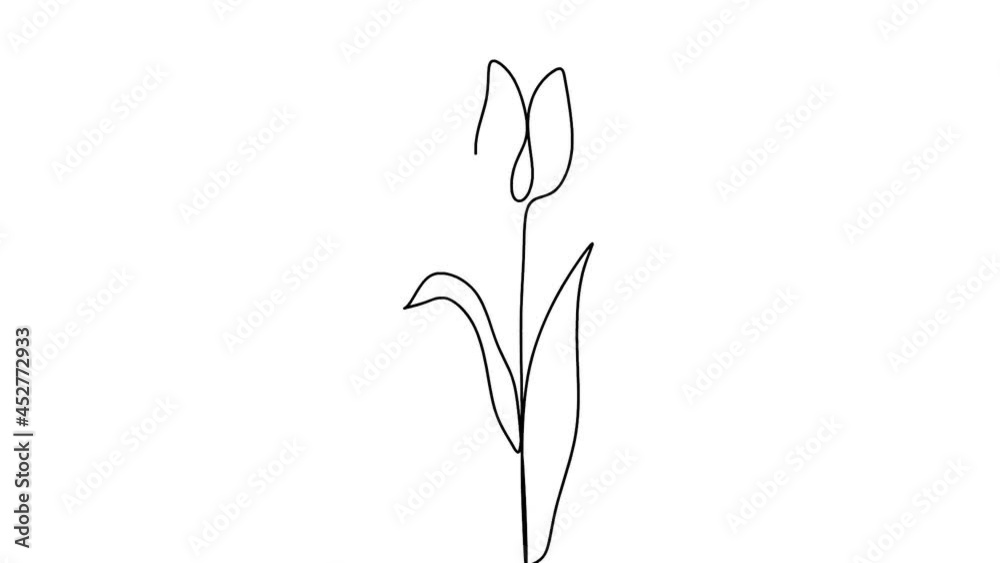 Botanical plants line Botanical plants line