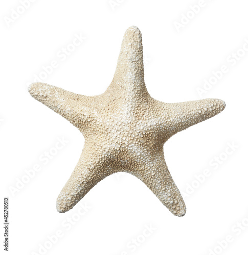 Beautiful sea star isolated on white. Beach object