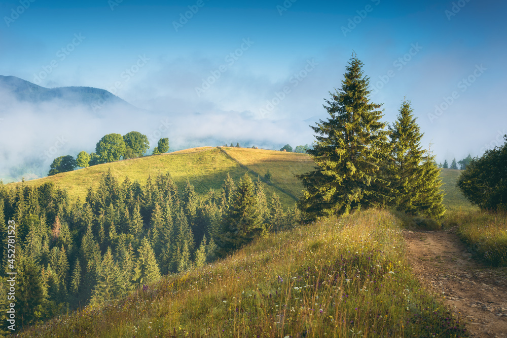 Majestic view of misty alpine valley in a light of sunrise