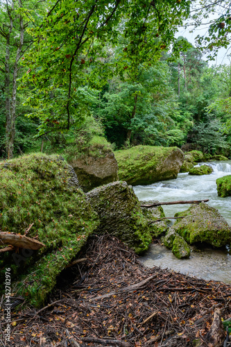 canyon erlaufschlucht near poeggstall in lower austria photo