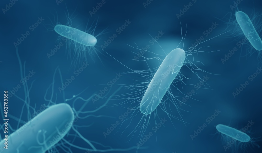 Clostridium difficile bacteria StockIllustration Adobe Stock