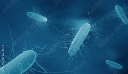 Clostridium difficile bacteria photo
