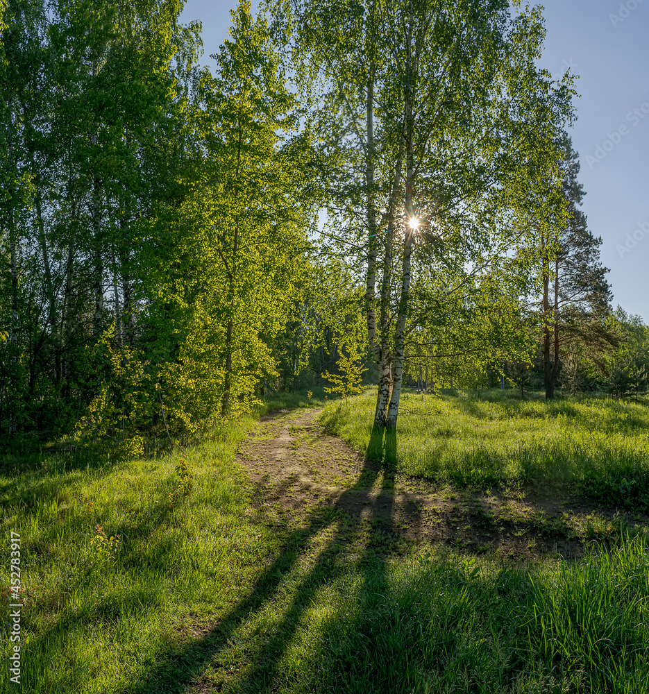 Fototapeta premium Landscape on the 