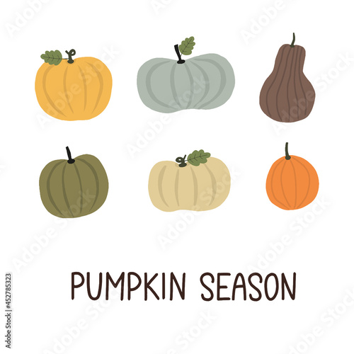 Cute trendy minimalistic thanksgiving card. Pumpkin season hand sketched lettering decorated by hand drawn pumpkins of different sizes and shapes.