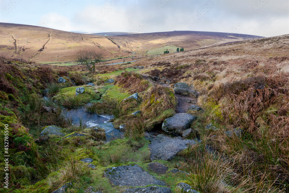 A tiny stream, Grim's Lake, on Hookney Moor, Dartmoor, Devon