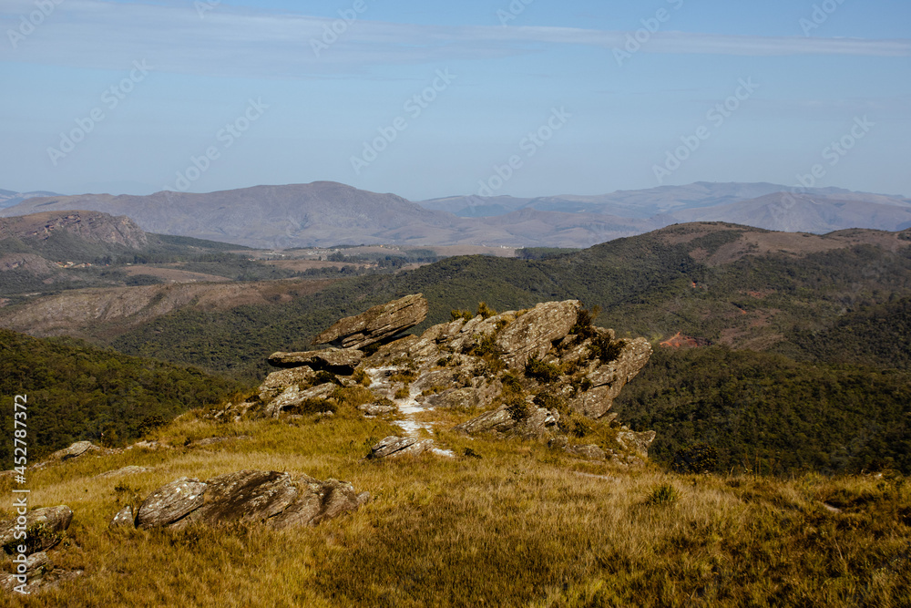Ouro Preto vegetation