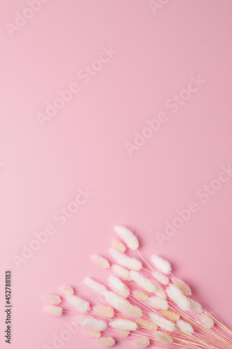 Cosmetic background with flowers on pink. Flat lay, copy space