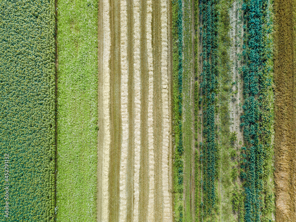 Aerial drone image of fields with diverse crop growth based on principle of polyculture and permaculture - a healthy farming method of ecosystem