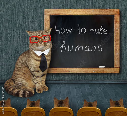A beige cat teacher in glasses and a tie is giving a lesson to kittens near a chalkboard.