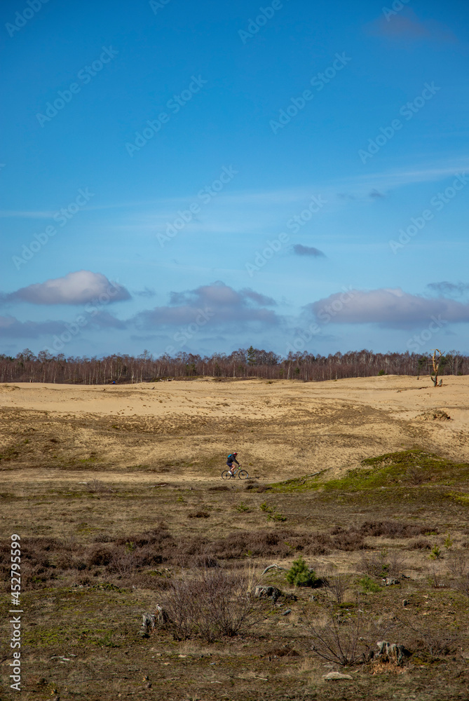 Obraz premium Mountainbiker in nature