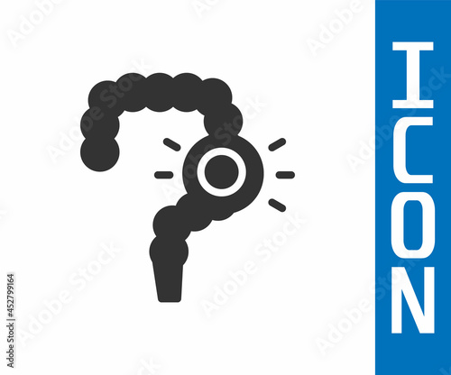 Grey Gut constipation icon isolated on white background. Bowel problems. Vector