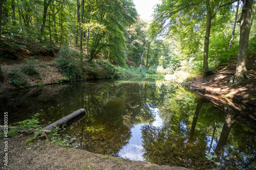 The De drie vijvers lakes in the forrest near Milsbeek