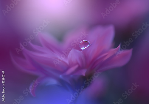 Beautiful Macro Shot of Magic Flowers.Border Art Design.Magic Light.Extreme Close up Photography.Conceptual Abstract Image.Violet and Pink Background.Fantasy Art.Creative Wallpaper.Blue Nature.
