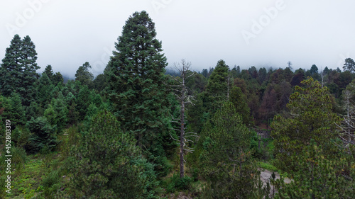 PARQUE NACIONAL NEVADO DE COLIMA photo