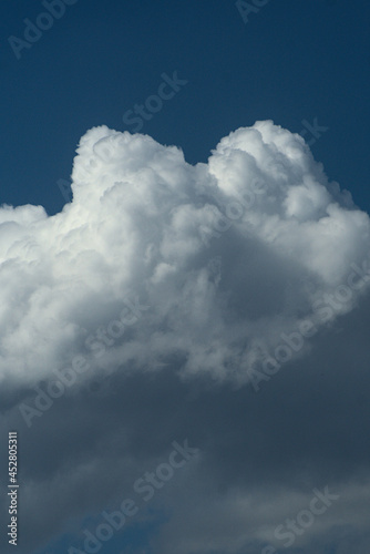 cumulos de nubes bajo el cielo azul photo