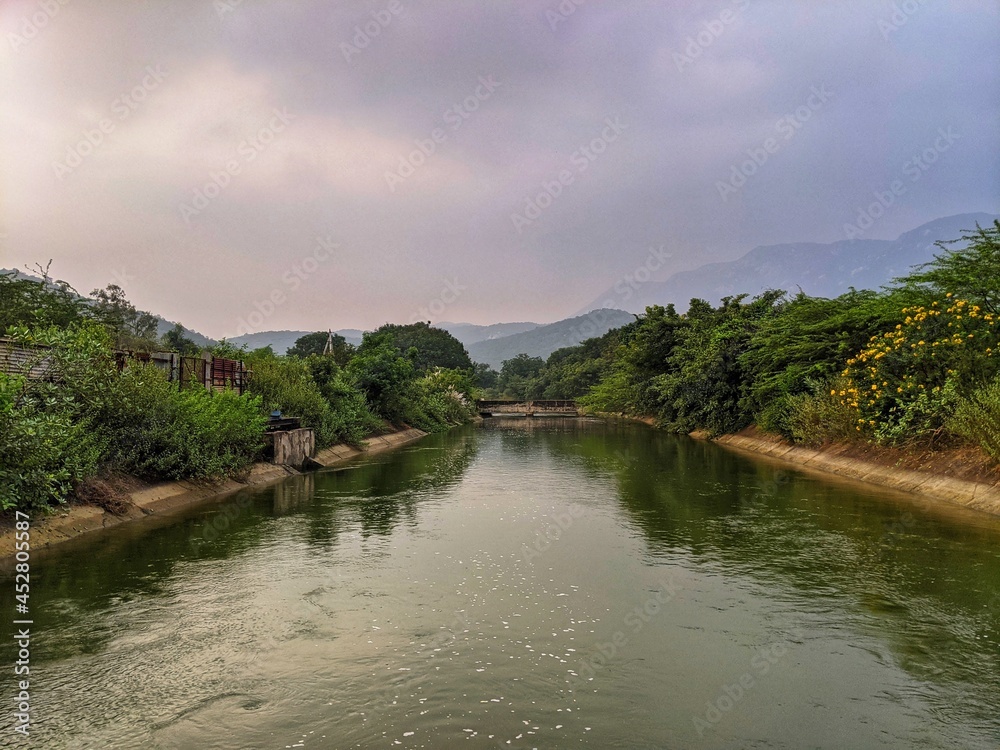 Fototapeta premium river in the jungle