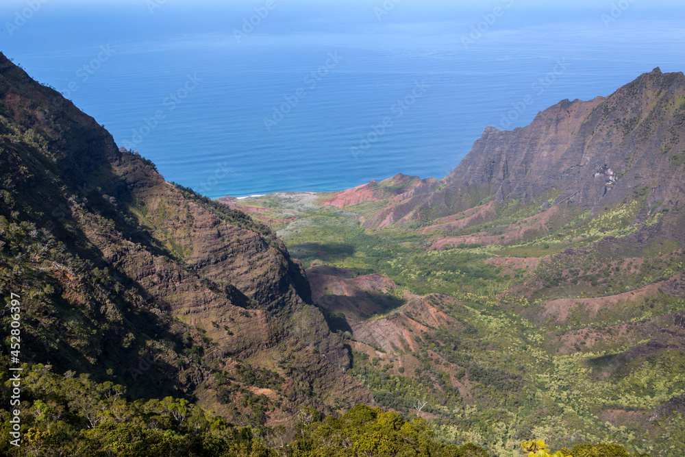 View of Waimea Canyon State Park in Kauai Island in Hawaii, USA.