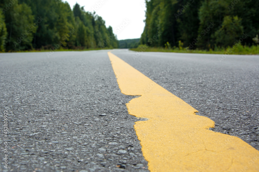 Asphalt road in the forest. Yellow markings on the track.