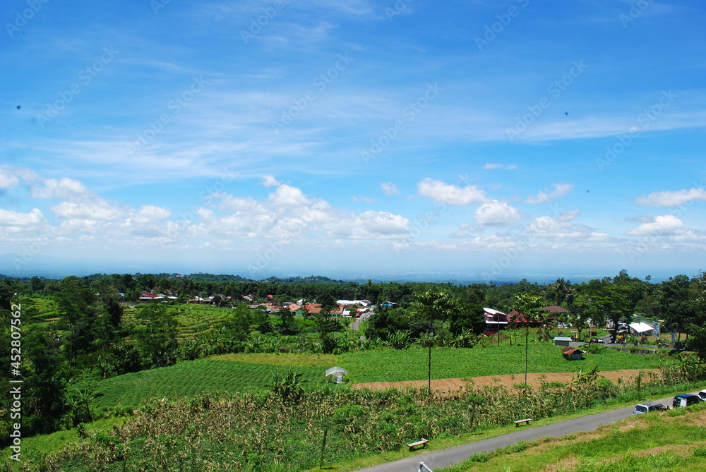 landscape with field and blue sky