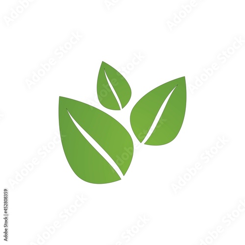Fototapeta Naklejka Na Ścianę i Meble -  Green leaf logo