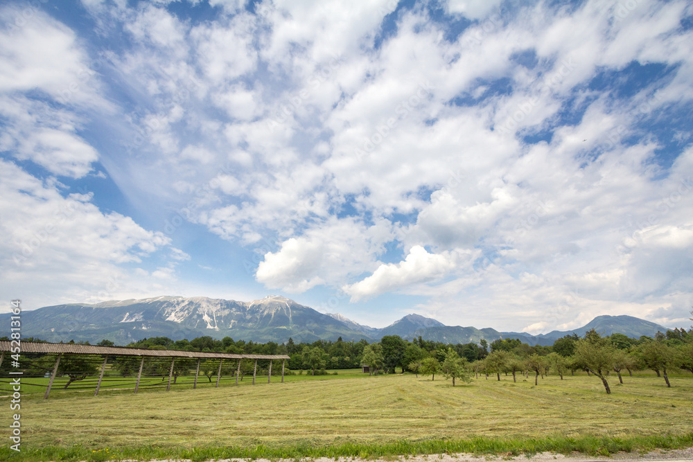 Panorama of plains of Gorenjska carniola, in bled, slovenia, with fields, farmlands and farms and Julian Alps mountains in background. It's hotspot of Slovenian agriculture and alpine rural industry.