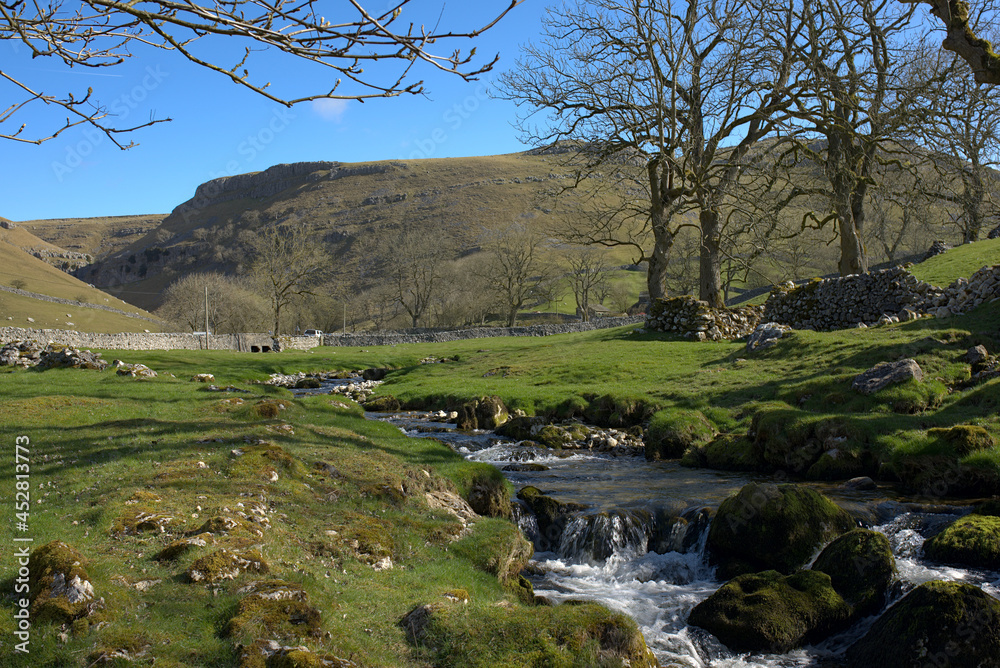 landscape with river