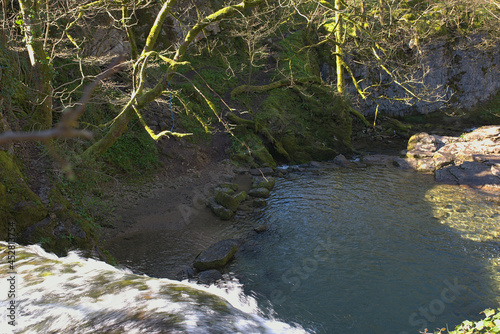 Obraz na płótnie river in the forest w salonie