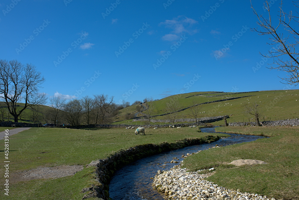 landscape with river and trees