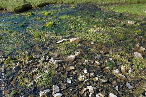 Obraz na płótnie moss covered rocks w salonie