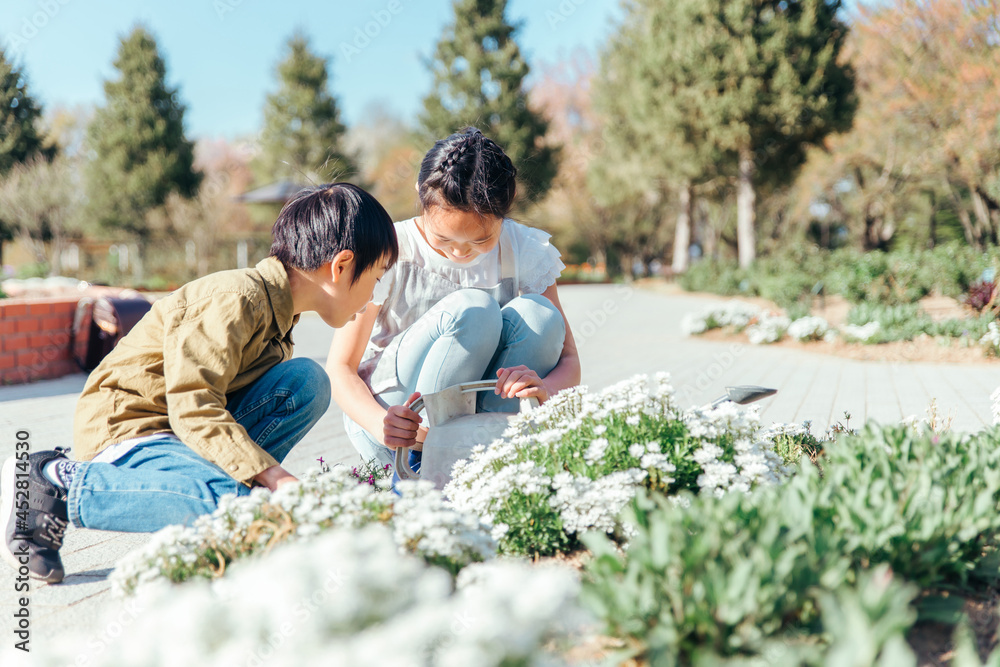 園芸・ガーデニング・スローライフ（姉弟）
