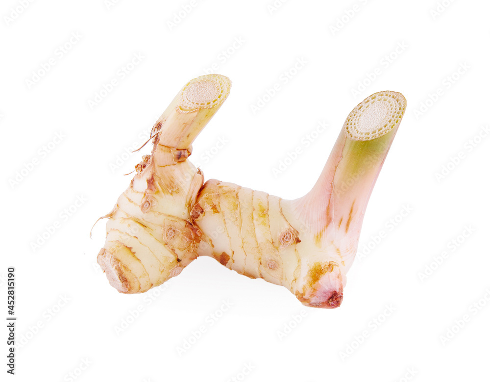 Fototapeta premium Fresh slices galangal rhizomes isolated on white background