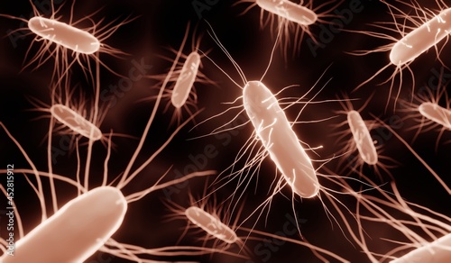Rod-shaped bacteria with flagella such as clostridium difficle, salmonella or escherichia coli photo