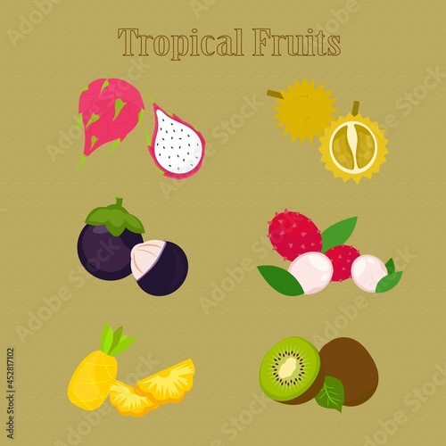 Fototapeta Naklejka Na Ścianę i Meble -  Fresh Tropical Fruits Durian Rambutan Dragon Fruit Kiwi Fruit Mangosteen Pineapple Vector Illustration