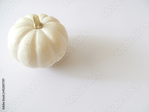 cute mini pumpkin on a white table background simple