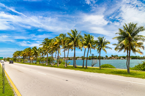 Palm trees in Miami Beach © Sergii Figurnyi